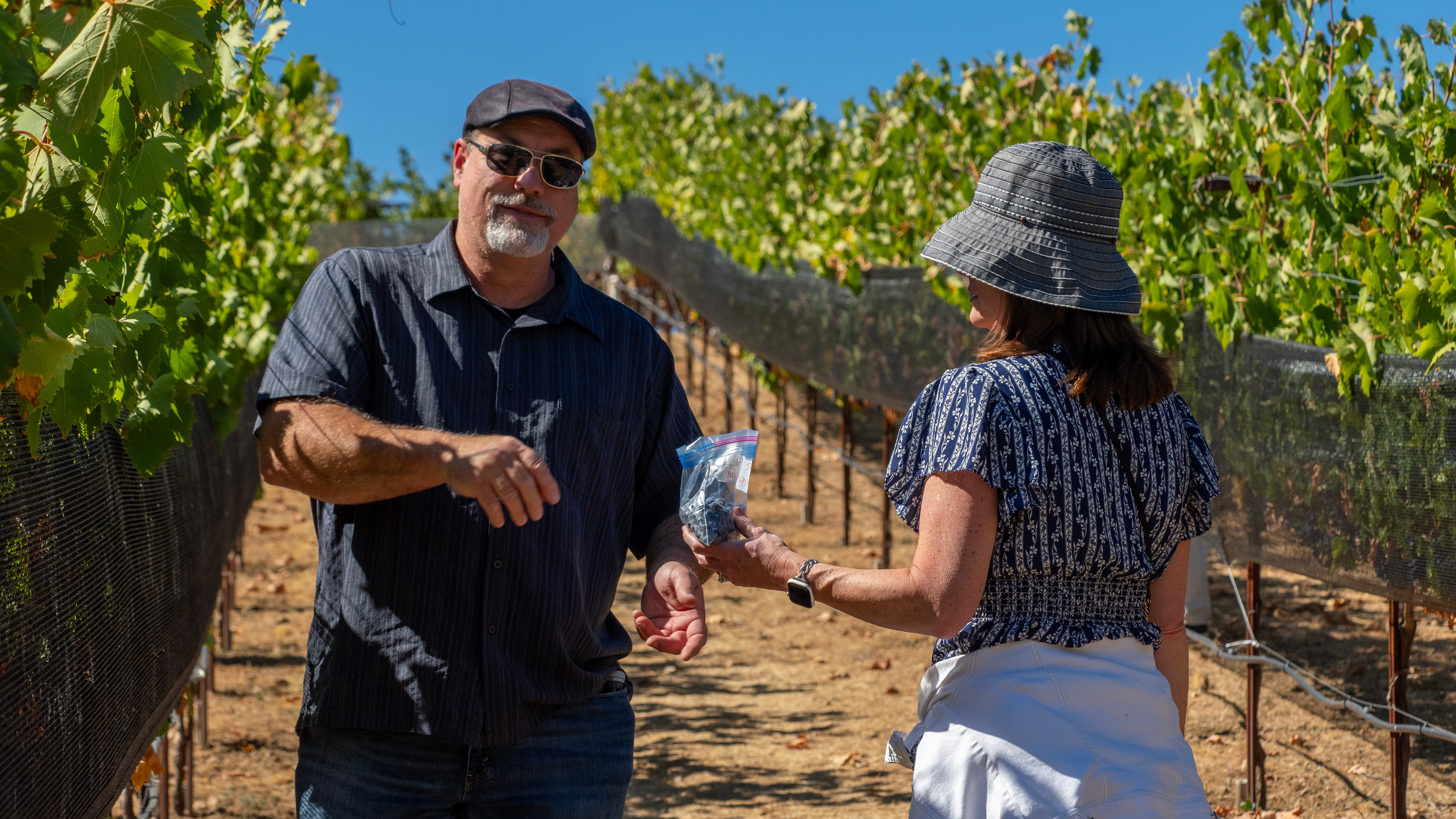 Catagory 2024 Summit Circle Harvest Walk. 2024-Harvest-Walk---Guests-Sampling